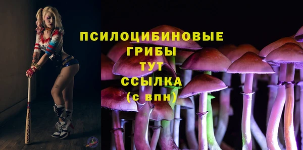 гашик Балабаново