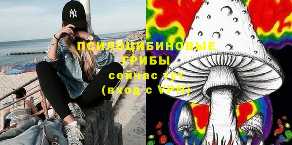 первитин Балахна