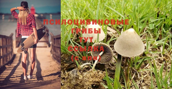твердый Баксан