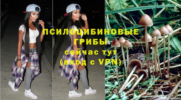 твердый Баксан