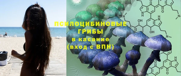 гашик Балабаново