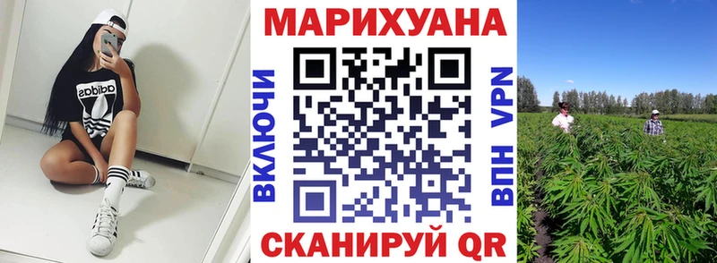 купить   Заозёрск  mega   Каннабис семена 